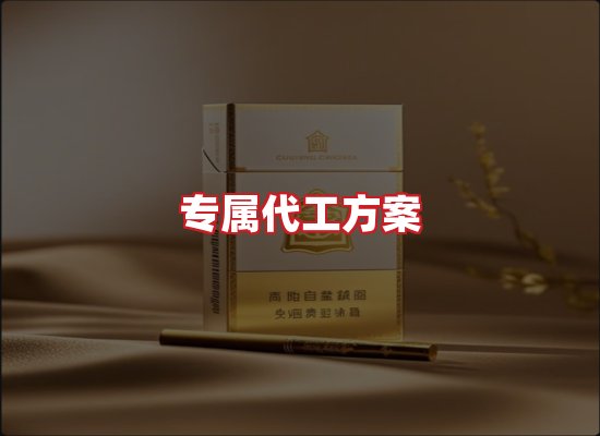 专业团队